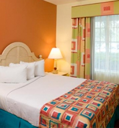 Holiday Inn Resort Orlando Waterpark