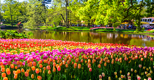Il Parco Keukenhof in Olanda - Netherlands